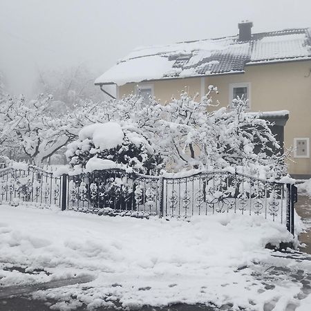 Drago Kremenjas Appartement Delnice Buitenkant foto