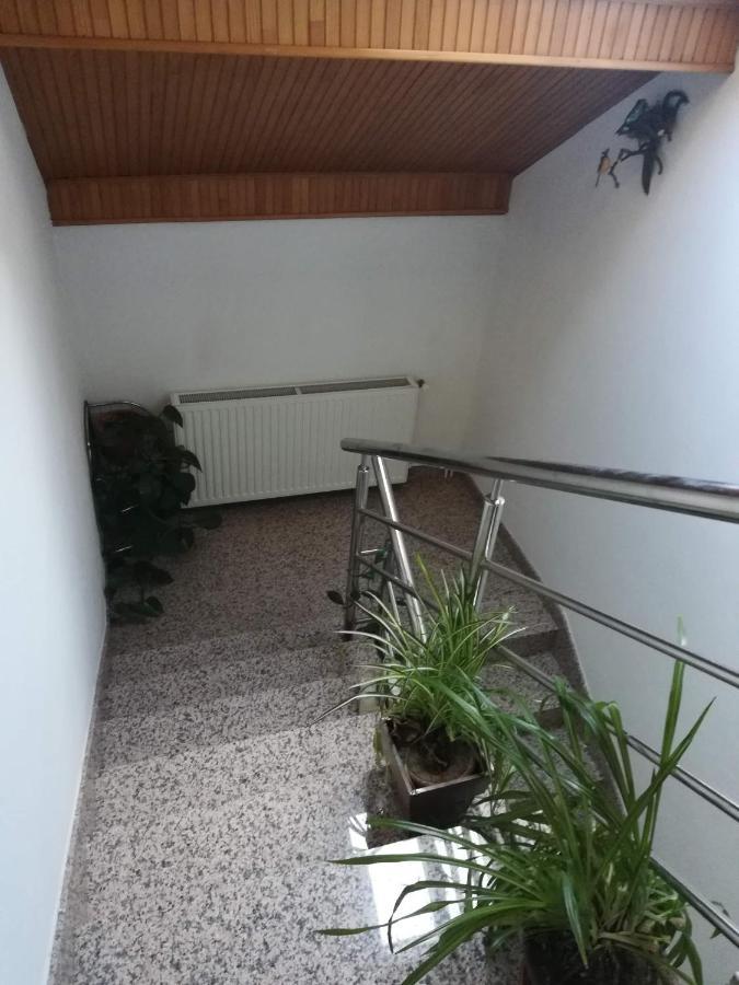 Drago Kremenjas Appartement Delnice Buitenkant foto