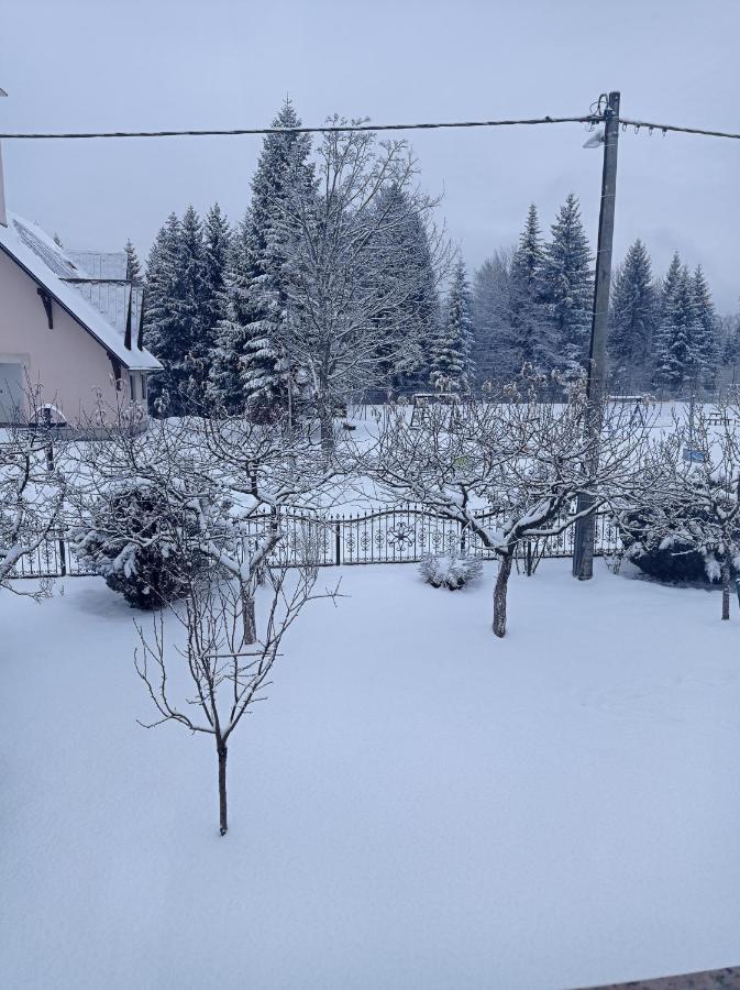 Drago Kremenjas Appartement Delnice Buitenkant foto