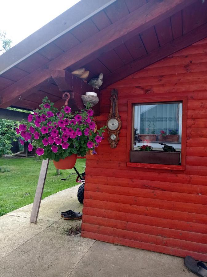 Drago Kremenjas Appartement Delnice Buitenkant foto
