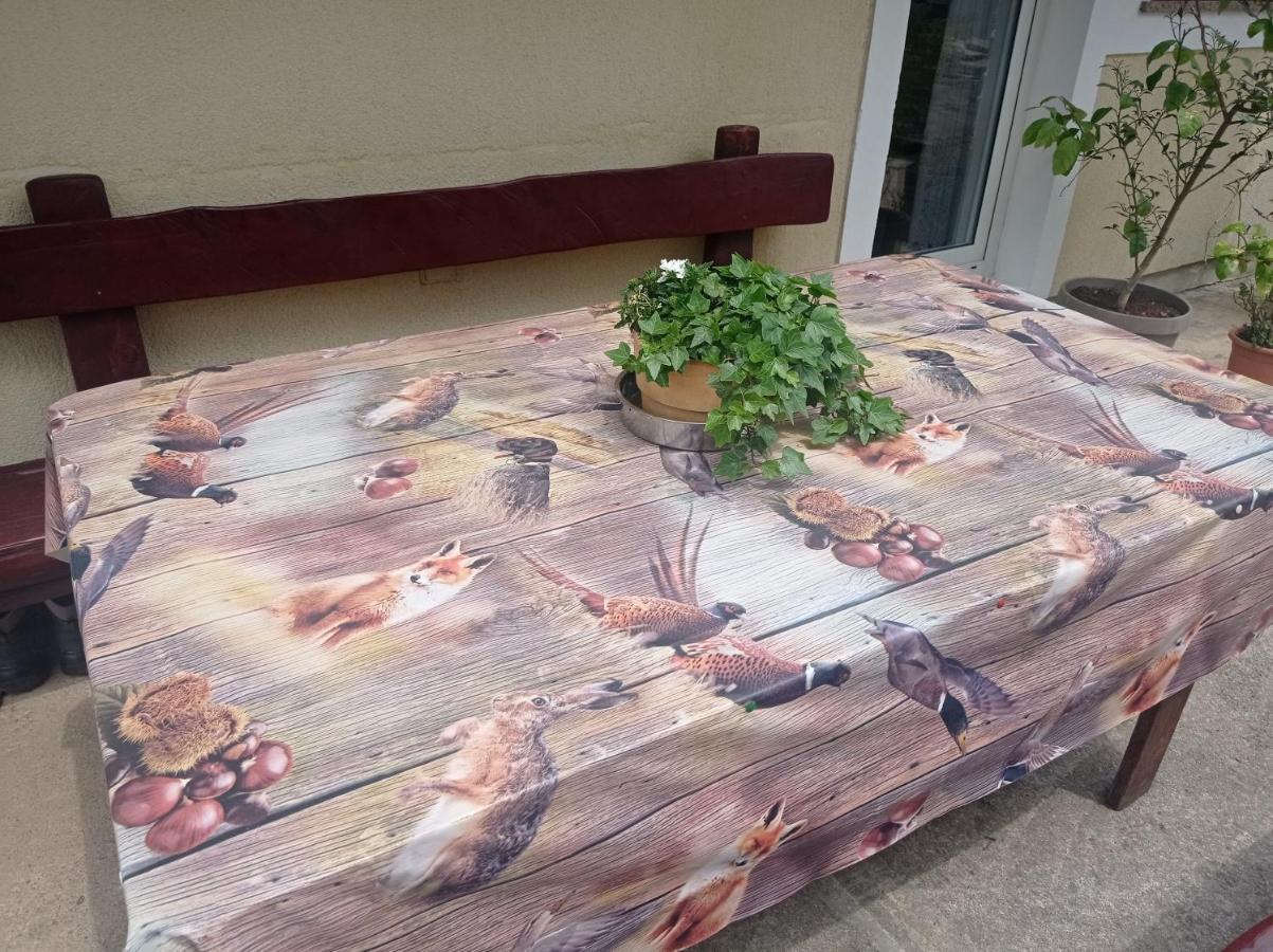 Drago Kremenjas Appartement Delnice Buitenkant foto