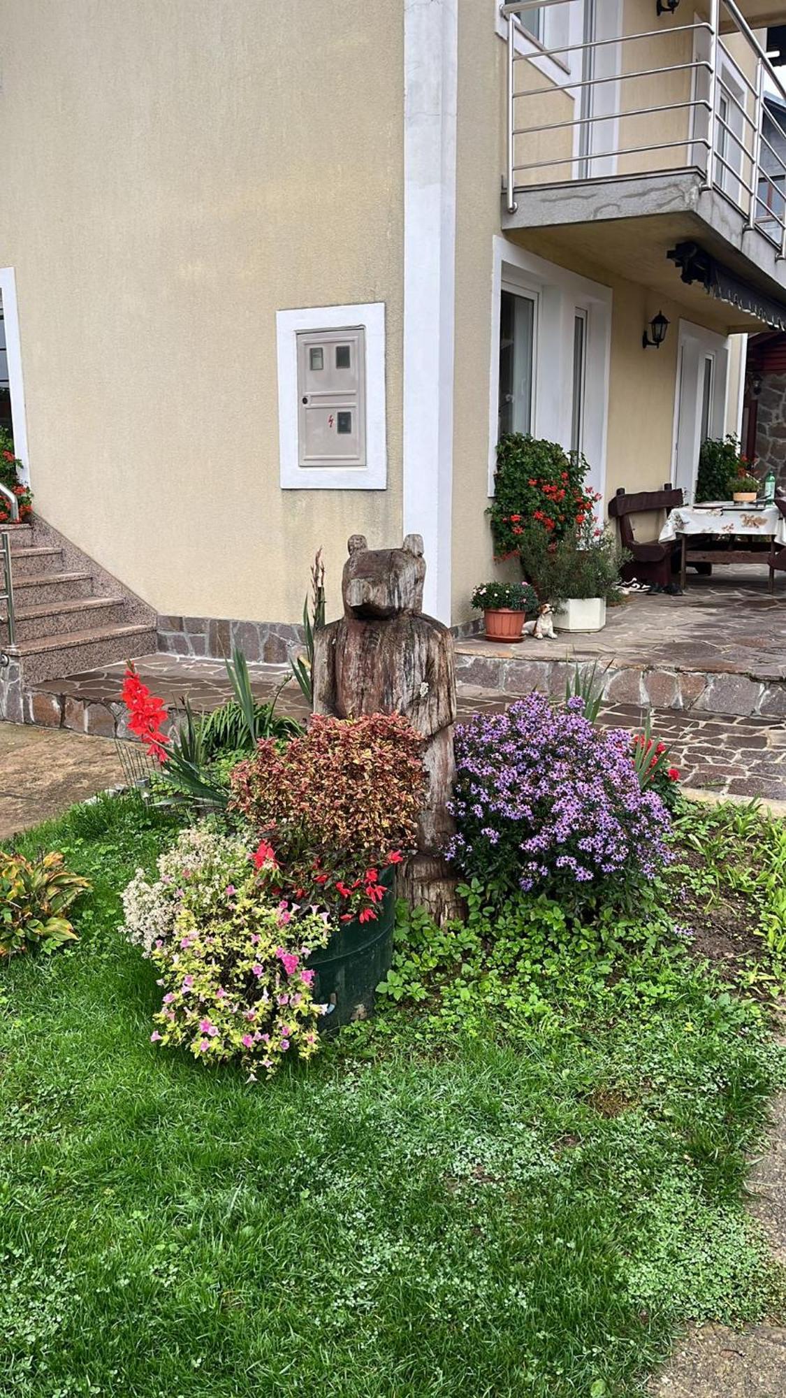 Drago Kremenjas Appartement Delnice Buitenkant foto